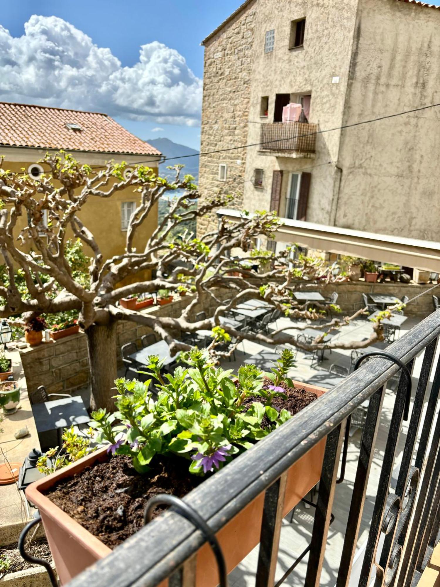 Hoetel U Santa Maria Olmeto  Cameră foto