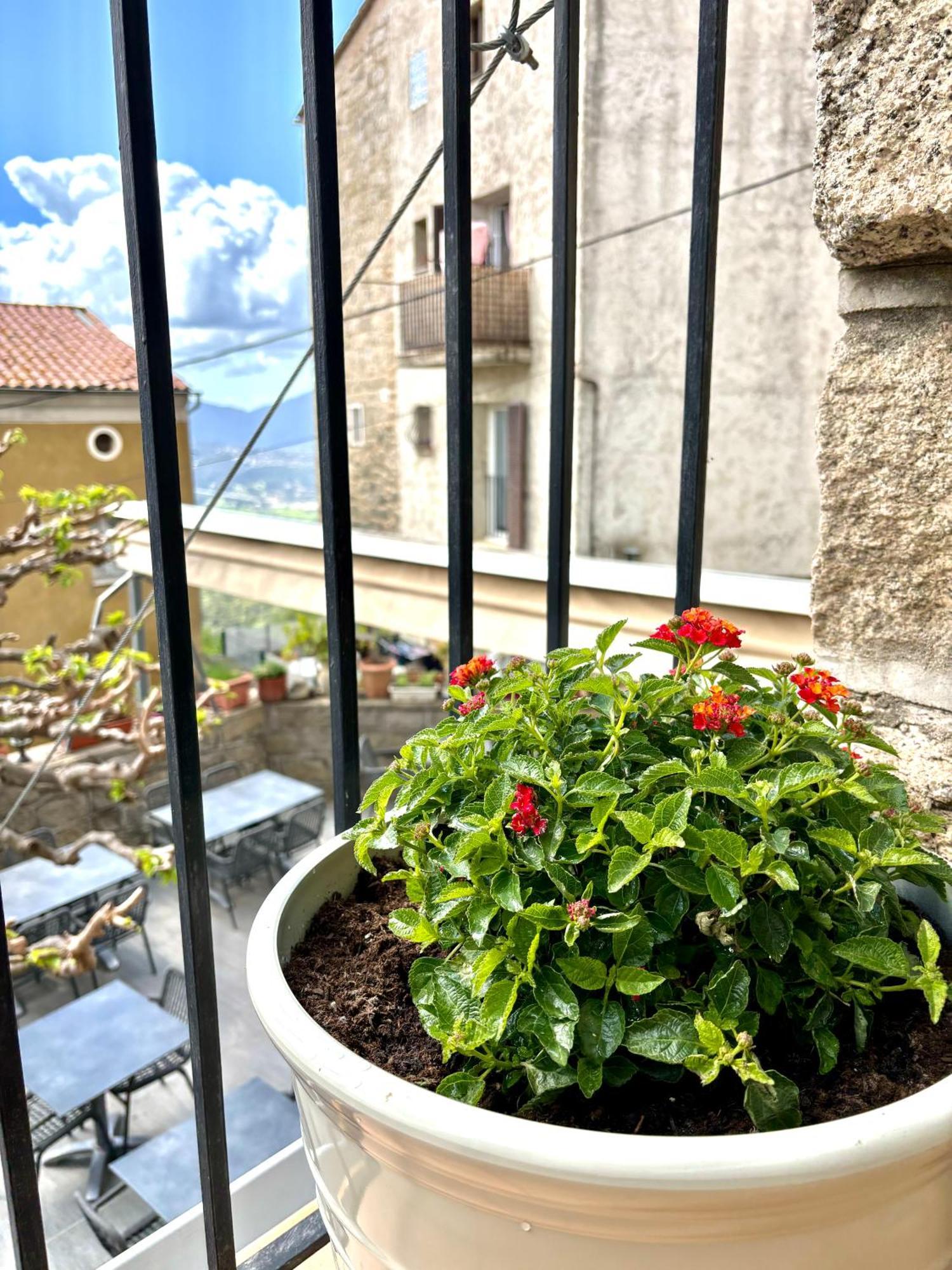 Hoetel U Santa Maria Olmeto  Cameră foto