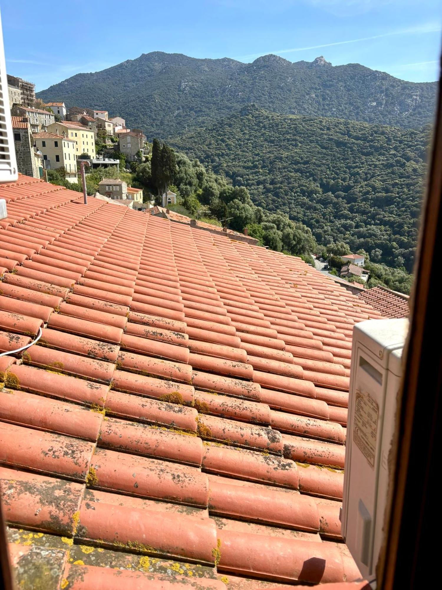 Hoetel U Santa Maria Olmeto  Cameră foto